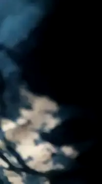 Snapshot of Sneha_gril chatting on February 2025 05:39:01 PM Sneha gril online show from February 2025 05:39:01 PM