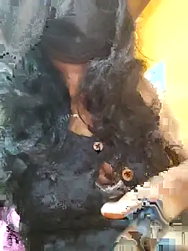 Tamillminnal online show from September 2025 05:02:02 PM