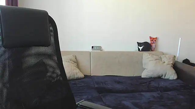 Ostin meow online show from September 2025 04:35:01 AM