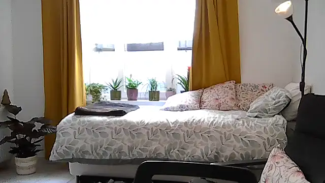housewife shantie online show from July 2026 10:50:01 AM