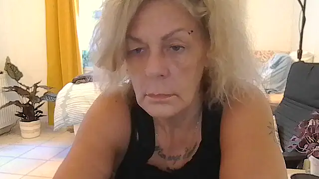 housewife shantie online show from July 2026 06:44:02 AM