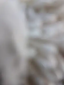 lemon69Reo online show from February 2026 08:38:02 PM