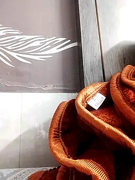 shalini fire online show from November 2025 05:35:01 PM