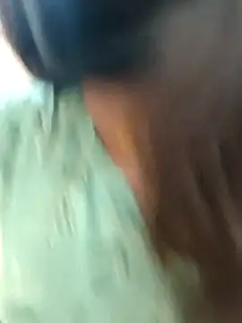 Tamil Shalini Lustyy online show from February 2026 04:59:01 PM