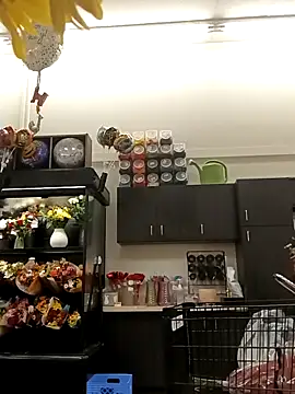 kobrashekyng online show from October 2025 02:39:01 PM