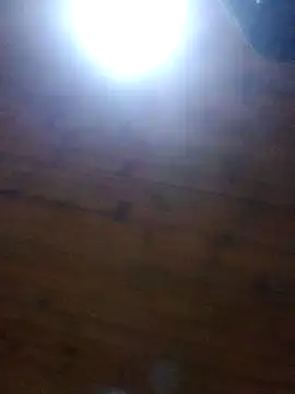 Darly Gomez online show from December 2024 03:58:02 AM