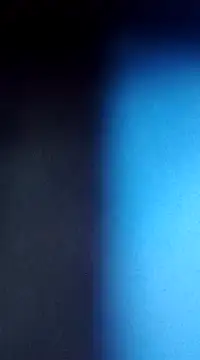 Darly Gomez online show from January 2025 10:16:02 PM