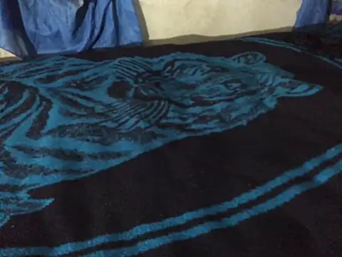 Snapshot of manuamador chatting on January 2025 04:29:01 AM manuamador online show from January 2025 04:29:01 AM