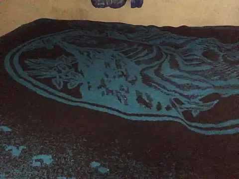 Snapshot of manuamador chatting on March 2025 04:18:01 AM manuamador online show from March 2025 04:18:01 AM