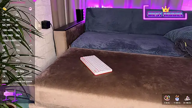 Walt Enjoy online show from January 2025 02:46:01 PM