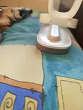 sanek1995sexx online show from January 2025 12:24:02 PM