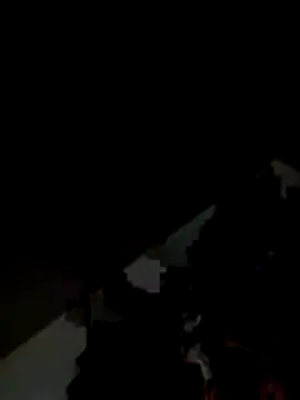 Kitjai200301 online show from November 2025 07:43:02 AM