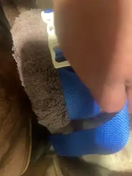 Snapshot of edgher646 chatting on February 2025 08:48:01 AM edgher646 online show from February 2025 08:48:01 AM