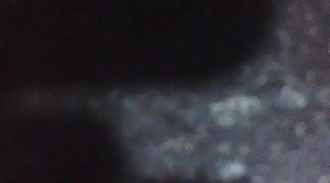 Penis58 online show from February 2025 06:56:02 PM