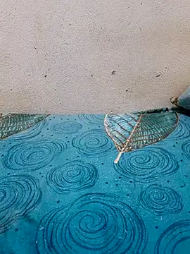 Linda-53 online show from March 2026 08:30:01 PM