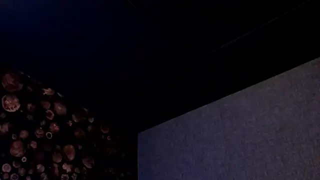 Snapshot of ArtemisaBlake chatting on March 2025 08:04:01 PM ArtemisaBlake online show from March 2025 08:04:01 PM