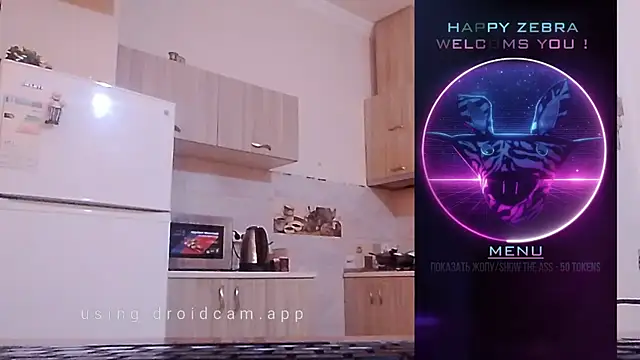 HappyZebra13 online show from December 2024 09:08:02 AM