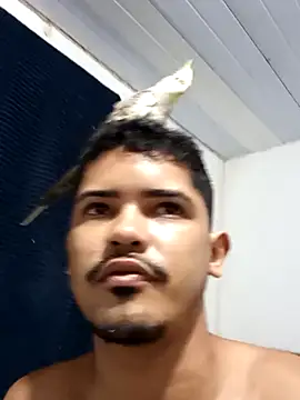 44corninho online show from February 2025 11:52:01 PM