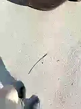 chootkapyasa007 online show from January 2025 10:06:01 AM