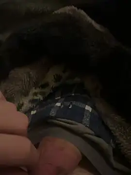 Snapshot of hamoo23p chatting on February 2026 02:45:01 AM hamoo23p online show from February 2026 02:45:01 AM