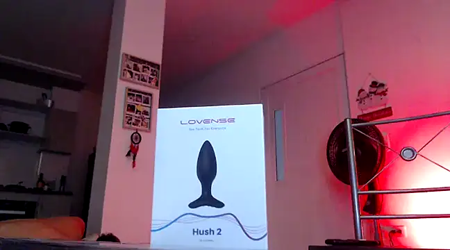 Snapshot of GamerQuinn chatting on December 2024 03:22:02 PM GamerQuinn online show from December 2024 03:22:02 PM