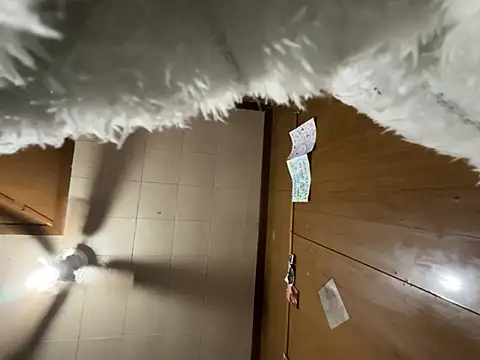 Snapshot of carmelbbyx22 chatting on March 2026 12:38:02 PM carmelbbyx22 online show from March 2026 12:38:02 PM