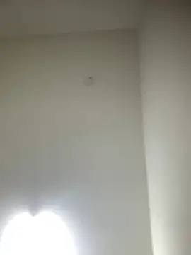 bidex002 online show from May 2026 11:45:02 PM