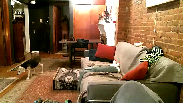 Snapshot of Johnny_Bottoms chatting on December 2024 01:04:02 AM Johnny Bottoms online show from December 2024 01:04:02 AM