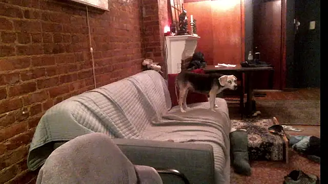 Snapshot of Johnny_Bottoms chatting on September 2025 11:19:02 PM Johnny Bottoms online show from September 2025 11:19:02 PM