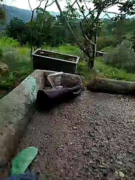 crazysex095 online show from January 2025 08:46:02 PM