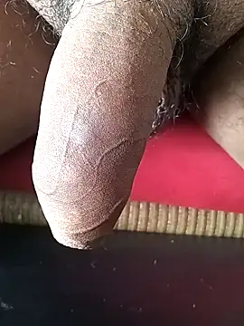 Arasu  online show from February 2025 10:48:02 AM