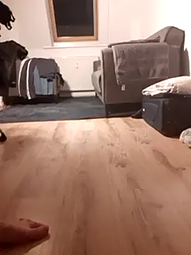 TransEVA34 online show from January 2025 06:52:01 PM