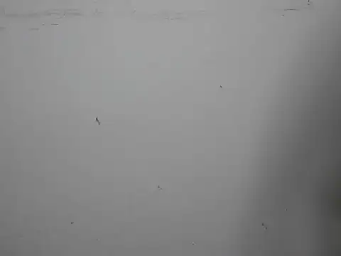 GoddessGlide online show from March 2025 11:16:01 AM