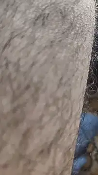 niyack69 online show from January 2026 11:03:02 PM