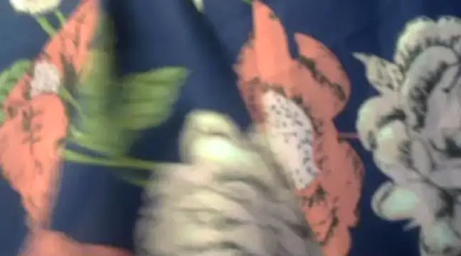 Snapshot of Naughty_Nayra chatting on February 2025 03:31:01 AM Naughty Nayra online show from February 2025 03:31:01 AM