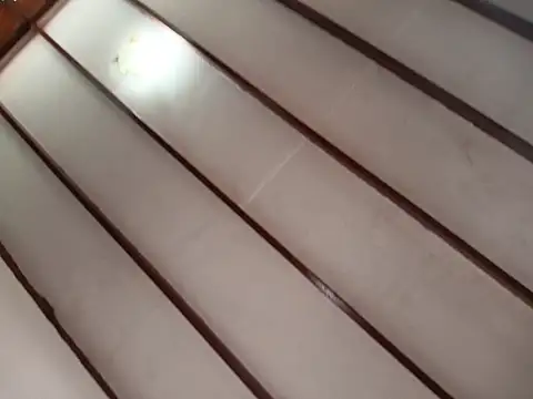 Rocket1978 online show from February 2026 02:43:01 PM