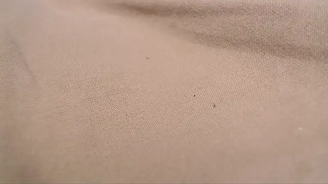 Lona-s online show from April 2026 11:21:01 AM