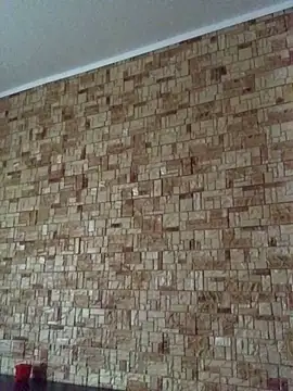 Prolisok473 online show from January 2025 09:25:02 AM