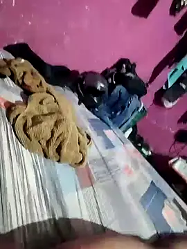 cusicat online show from February 2026 02:53:01 AM