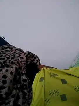 fredfgr online show from September 2025 12:41:01 PM