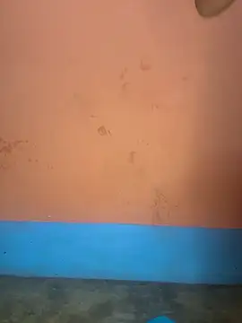 Snapshot of Lovely-Shivani chatting on March 2025 07:17:01 PM Lovely-Shivani online show from March 2025 07:17:01 PM