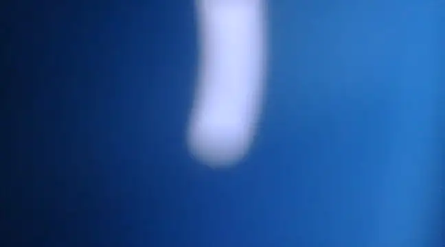 Snapshot of yourguyjack chatting on March 2025 06:47:01 AM yourguyjack online show from March 2025 06:47:01 AM