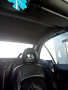 MisterHaze online show from April 2026 03:50:02 PM