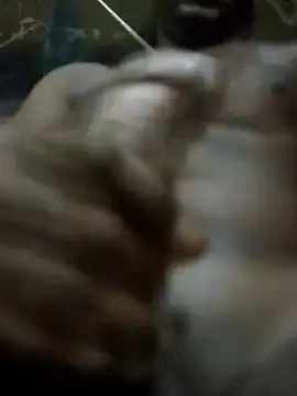 rodrig2107 online show from April 2026 10:30:01 AM