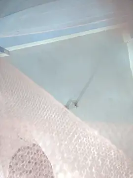 124pakhi online show from January 2026 03:17:02 PM