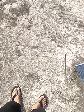 Snapshot of aryan_8051 chatting on January 2025 04:31:02 AM aryan 8051 online show from January 2025 04:31:02 AM