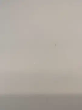 JoaoLenhador online show from February 2025 12:36:01 PM