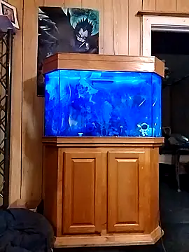 Snapshot of Rebeckalove chatting on February 2025 01:49:02 PM Rebeckalove online show from February 2025 01:49:02 PM