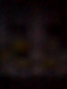 missAmanda69 online show from July 2026 11:25:02 PM