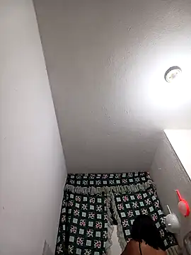 Snapshot of Adrianisx chatting on January 2025 04:58:02 AM Adrianisx online show from January 2025 04:58:02 AM